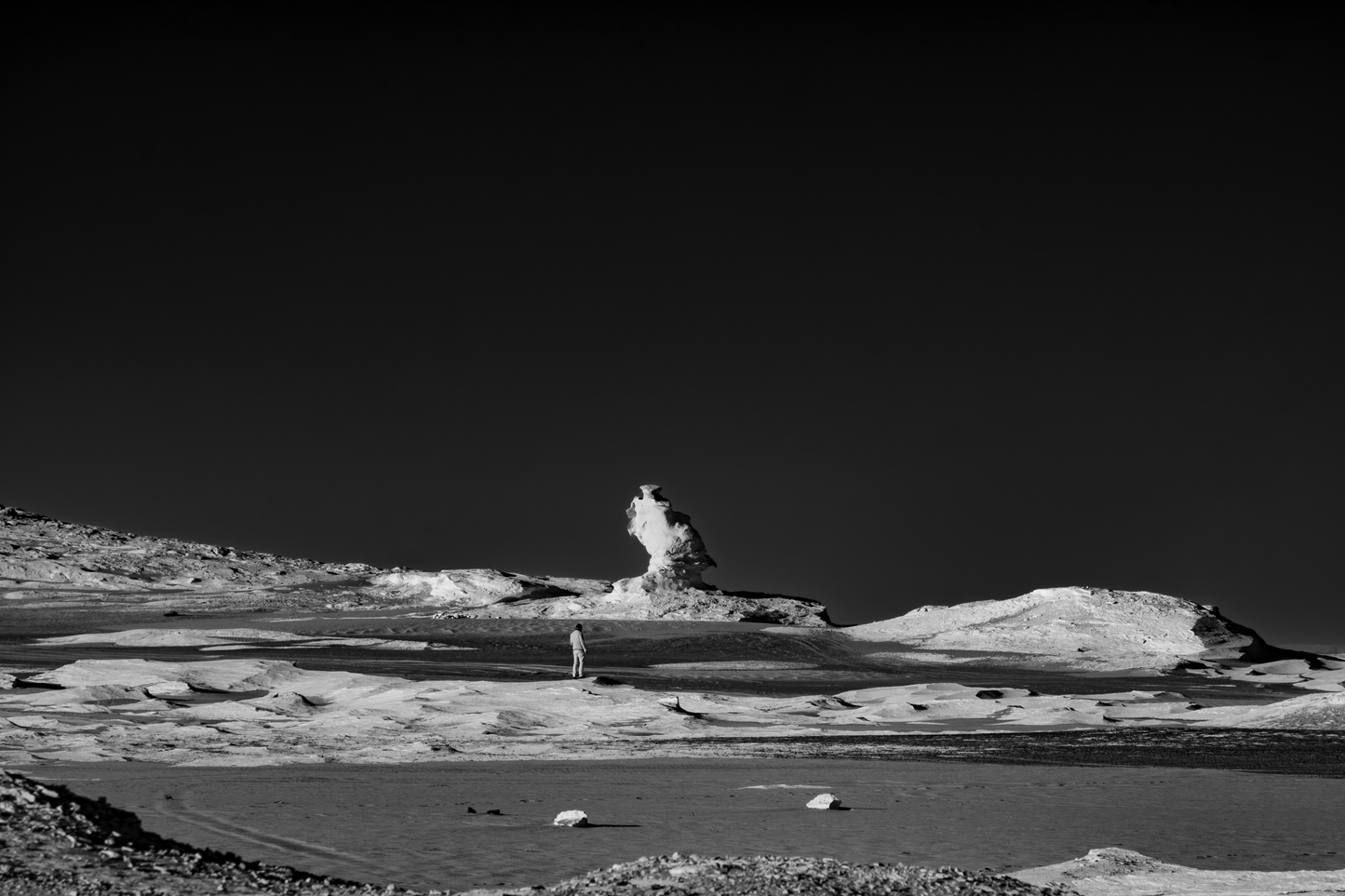Bountifully Barren