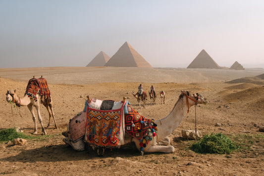 Caravan