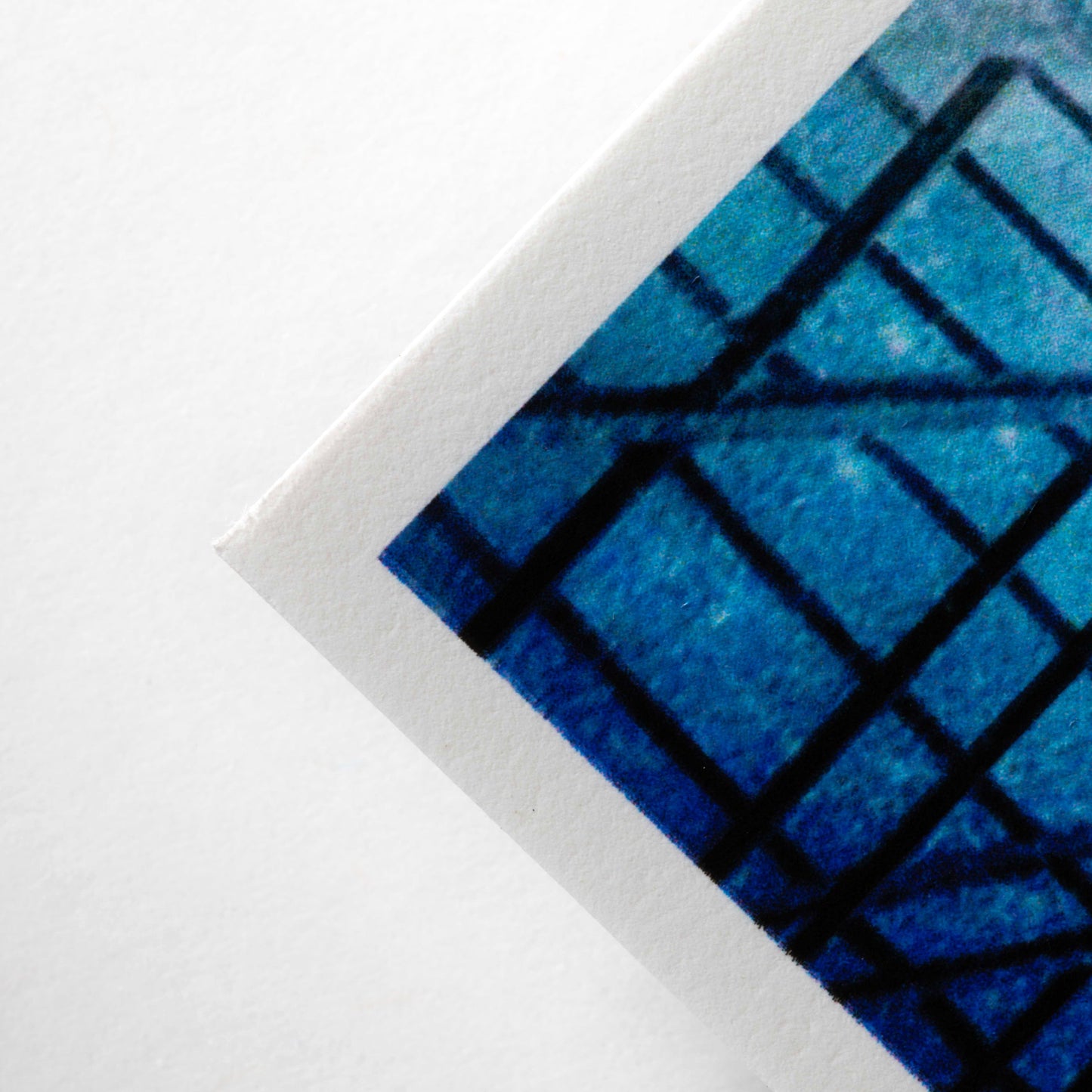 Fine-Art Matte Prints on Hahnemühle PhotoRag® Ultra Smooth 305