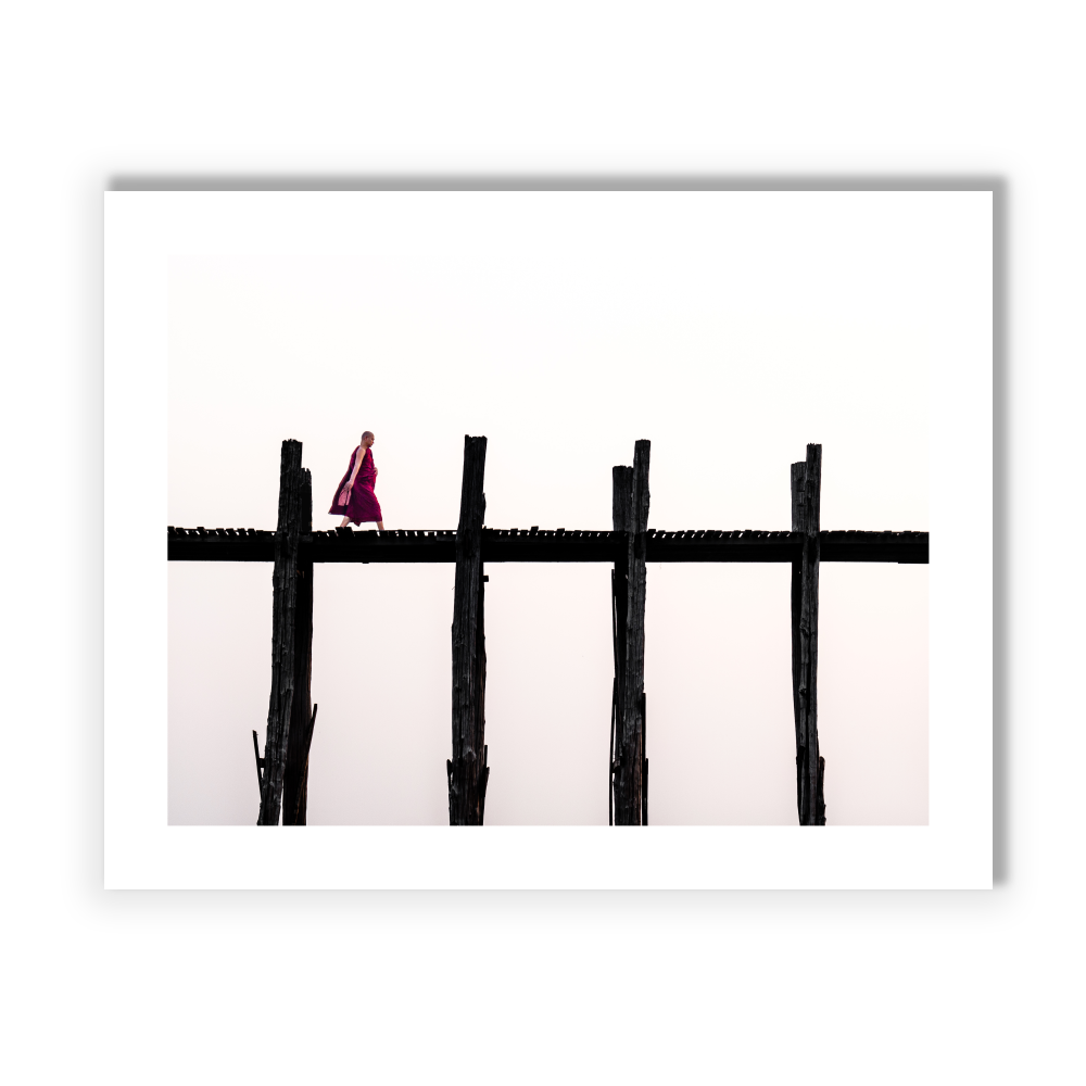 16x20 Print